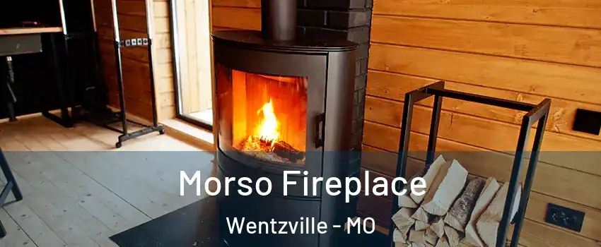  Morso Fireplace Wentzville - MO