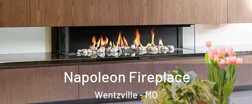  Napoleon Fireplace Wentzville - MO