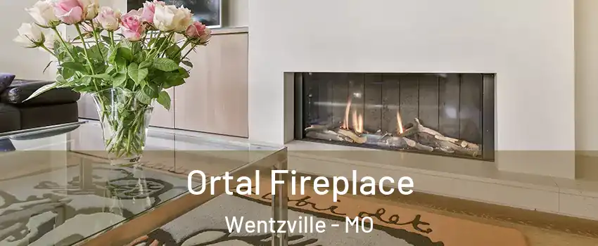  Ortal Fireplace Wentzville - MO