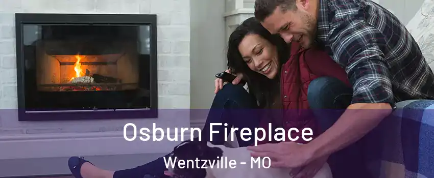  Osburn Fireplace Wentzville - MO