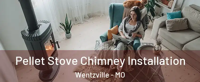  Pellet Stove Chimney Installation Wentzville - MO