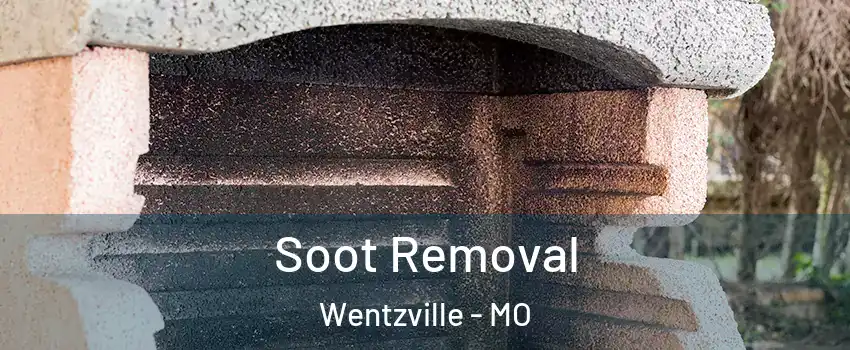  Soot Removal Wentzville - MO