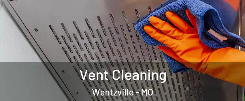  Vent Cleaning Wentzville - MO