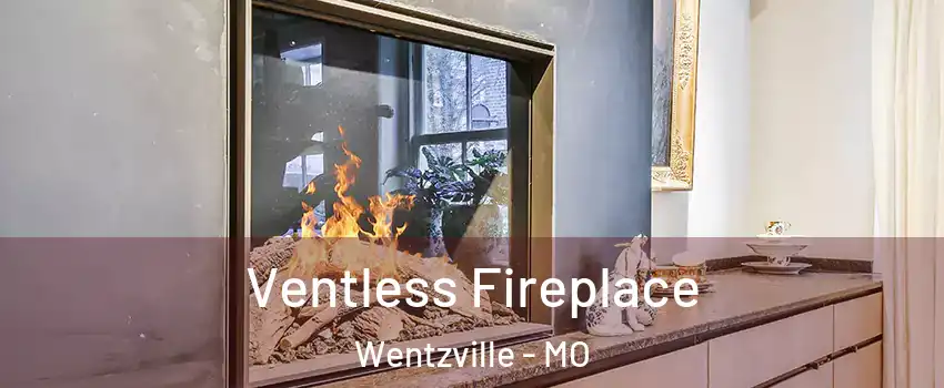  Ventless Fireplace Wentzville - MO